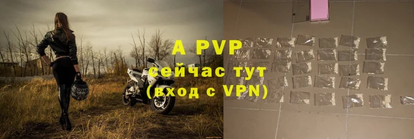 apvp Богданович